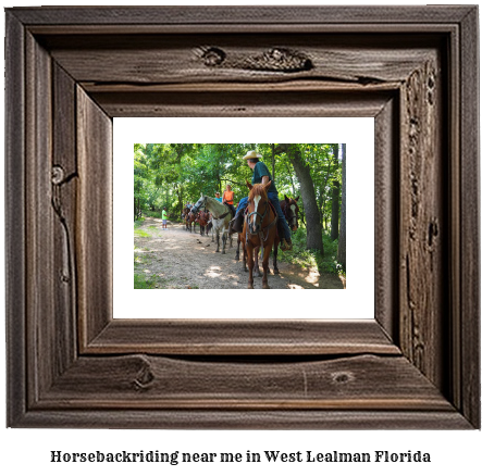 horseback riding near me in West Lealman, Florida